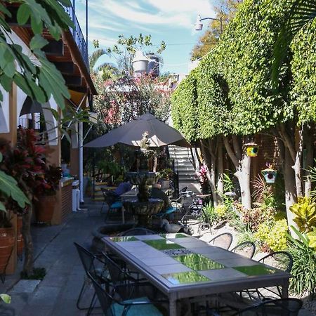 Las Mariposas Hotel & Studios Oaxaca Eksteriør bilde