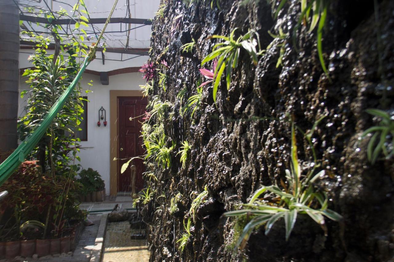Las Mariposas Hotel & Studios Oaxaca Eksteriør bilde