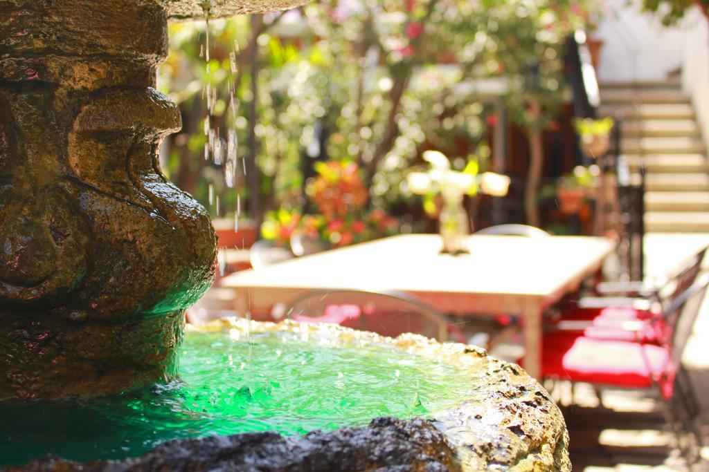 Las Mariposas Hotel & Studios Oaxaca Eksteriør bilde
